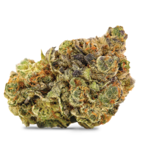 Banana Biscotti 5G