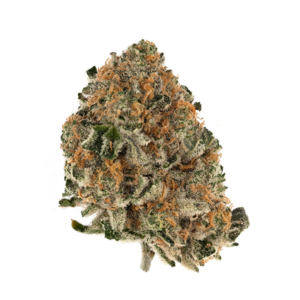 Rainbow Chip 5G