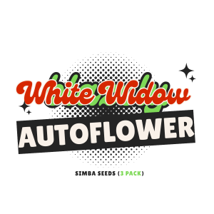 White Widow Auto 3-Pack